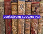 Motivele pentru care ar trebui să alegi o spălătorie de covoare din Iași