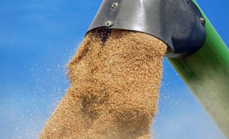 Asociația Producătorilor Agricoli: Nu ne putem lăuda că suntem primii în cazul exporturilor de materii prime. Acest lucru arată că România este o ţară subdezvoltată – Agricultura