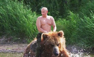 Vladimir Putin a fost ales cel mai atrăgător bărbat din Rusia – Showbiz