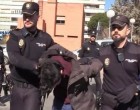 Cazul de canibalism care a îngrozit Spania: A început procesul bărbatului acuzat de uciderea și tranșarea mamei sale – International
