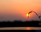 Cum va fi vremea de Florii. Tradiția spune că așa cum va fi de Florii, la fel va fi și de Paște – Esential