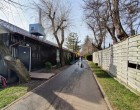 AFACEREA HERĂSTRĂU Câte cârciumi și chioșcuri sunt în parcul simbol al Bucureștiului, cine le deține și pe câți bani a fost dat domeniul public – Administratie Locala