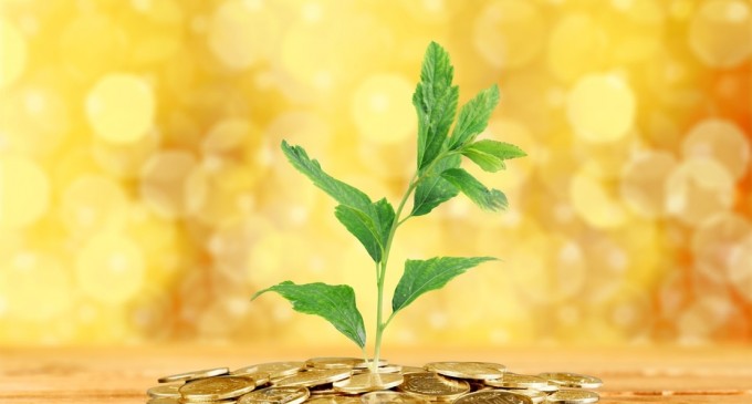 Ce ar trebui să știe antreprenorii care vor să atragă investiții de tip private equity sau venture capital în această perioadă? – Opinia specialistilor Schoenherr & Asociatii