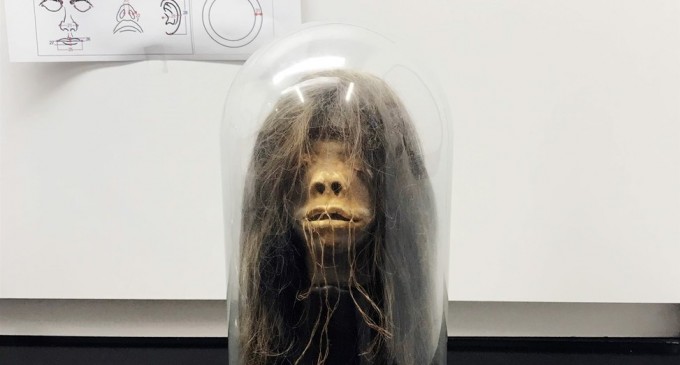 Descoperire macabră: Un cap micșorat expus ca obiect de recuzită timp de 40 de ani a fost autentificat ca fiind real – Arheologie