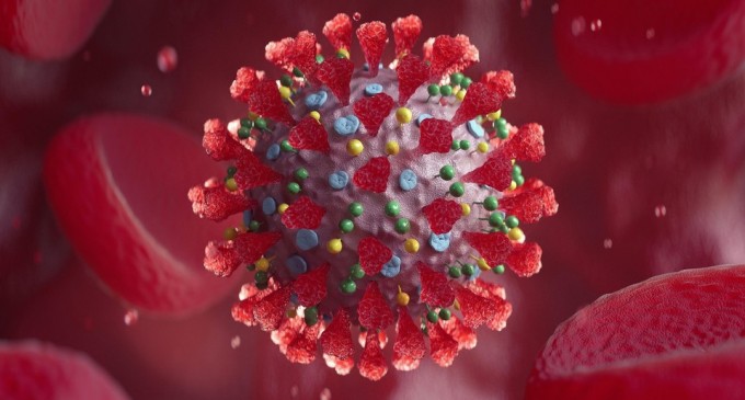 Creierele pacienților decedați din cauza unor forme grave de Covid sunt similare cu cele ale persoanelor ce au suferit de Parkinson sau Alzheimer – studiu Stanford – Coronavirus