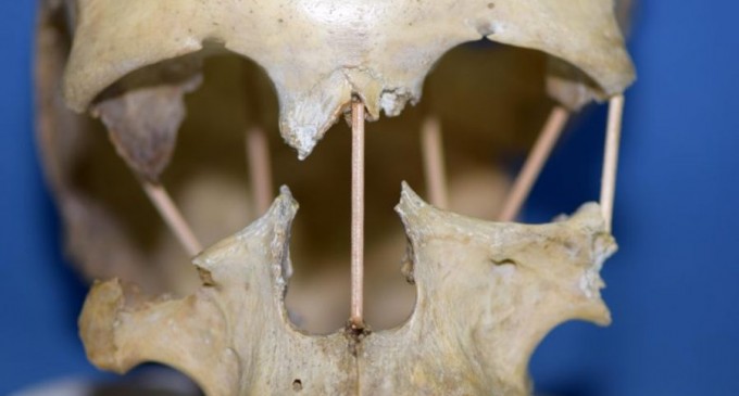 SciTechDaily: Întregul genom din Peștera Muierii 1 a fost secvențiat – Craniul din România vechi de 35.000 de ani dezvăluie o nouă pistă în evoluție – Arheologie