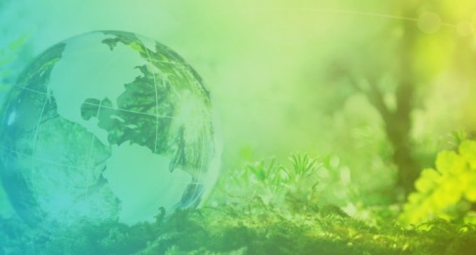 Tips&tricks: ce trebuie sa stii despre colaborarea cu un OIREP?