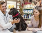 Animalele de companie şi importanța controlului anual la medicul veterinar
