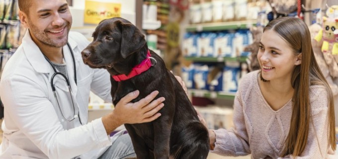 Animalele de companie şi importanța controlului anual la medicul veterinar