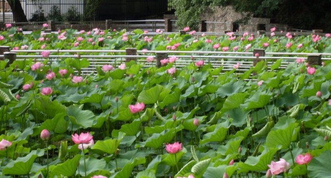 Calculatorul de pret: iata cat te costa o cazare in Baile Felix, in functie de durata, hotel, numar de persoane