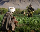 AFP: Victoria facilă a talibanilor în Afganistan ştirbeşte profund imaginea Americii / E de aşteptat ca întrebarea „De ce?” să fie pusă răspicat – International