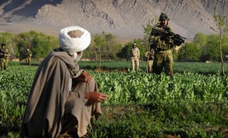 AFP: Victoria facilă a talibanilor în Afganistan ştirbeşte profund imaginea Americii / E de aşteptat ca întrebarea „De ce?” să fie pusă răspicat – International