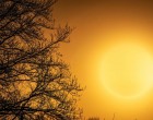 Iulie 2021 – cea mai caldă lună înregistrată vreodată pe Terra – International