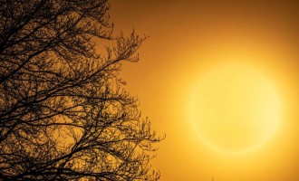 Iulie 2021 – cea mai caldă lună înregistrată vreodată pe Terra – International