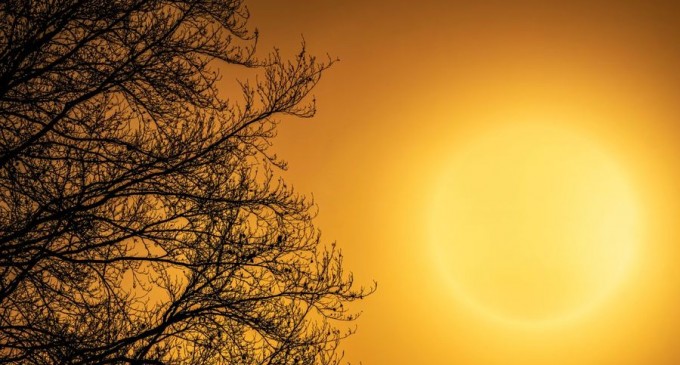 Iulie 2021 – cea mai caldă lună înregistrată vreodată pe Terra – International