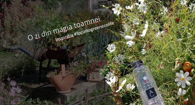 O zi din magia toamnei. Inspiratia #focustogreenecolife la final de vacanta