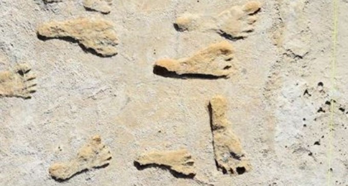 Amprentele fosilizate din New Mexico sunt cele mai vechi „dovezi fără echivoc” ale existenței oamenilor din America – Arheologie