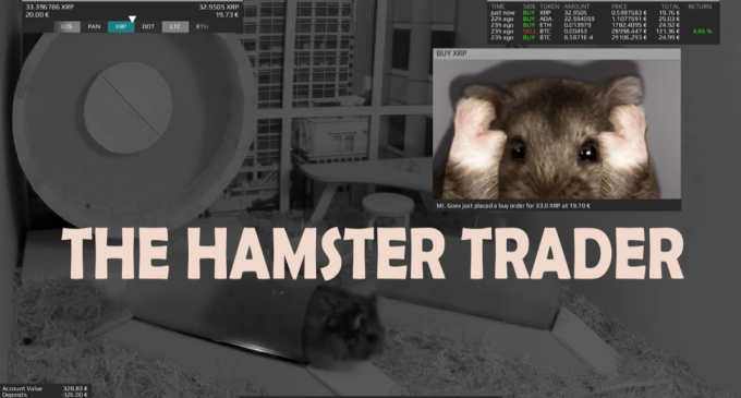Un hamster care tranzacționează criptomonede a obținut un randament mai bun decât S&P 500 – Burse