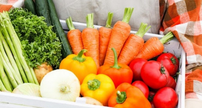 Când și cum se face mulcirea în grădină: Grădinamax reclamații nefondate