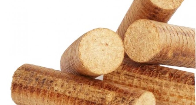 Avantajele folosirii peletilor