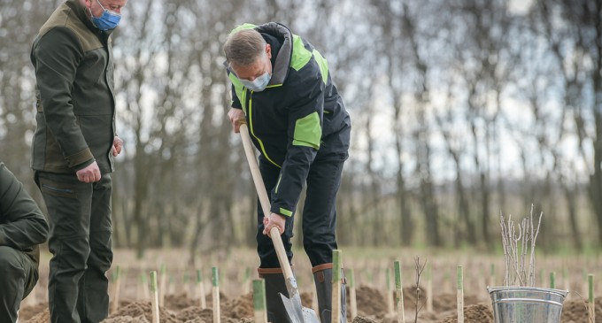 Rețea națională de rangeri juniori, 10.000 de mini-inspectori de mediu și bonusuri pentru profesorii care fac educație privind schimbările climatice. Măsurile propuse de Iohannis într-un raport prezidențial DOCUMENT – Educatie