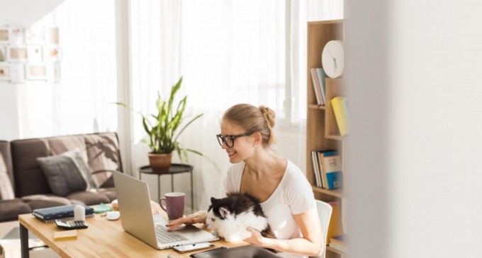 Încă lucrezi de acasă? Află cum să-ți amenajezi biroul pentru mai multă motivație!