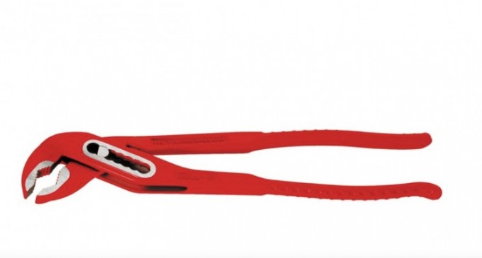 Clesti papagal. Ce sunt clestii papagal si cat costa o unealta de calitate?