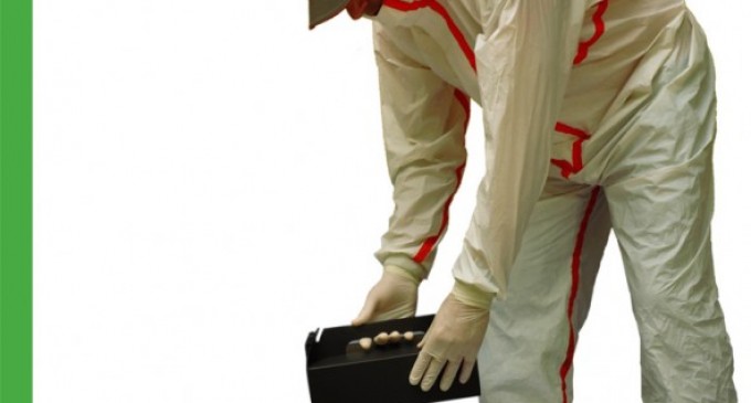 Cum te ajuta o firma de deratizare. Firmaddd.ro este solutia