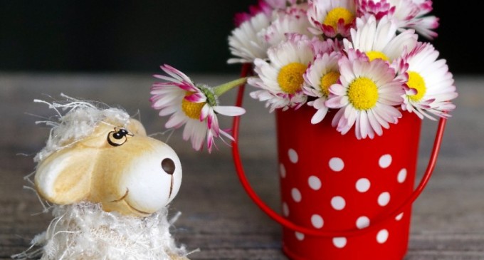 Top 6 idei de cadouri haioase de Iepuraș pentru prieteni