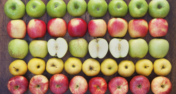 Rusia reia importul de fructe din Republica Moldova și din alte patru state, anulând restricțiile impuse anterior