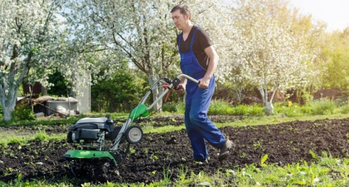 Cum alegi cea mai buna motosapa pentru gradina ta