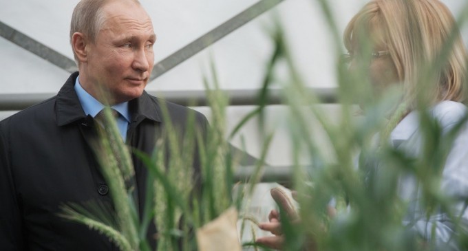 Putin va anexa probabil părțile ocupate din sudul și estul Ucrainei în lunile viitoare – Institutul pentru studiul Războiului