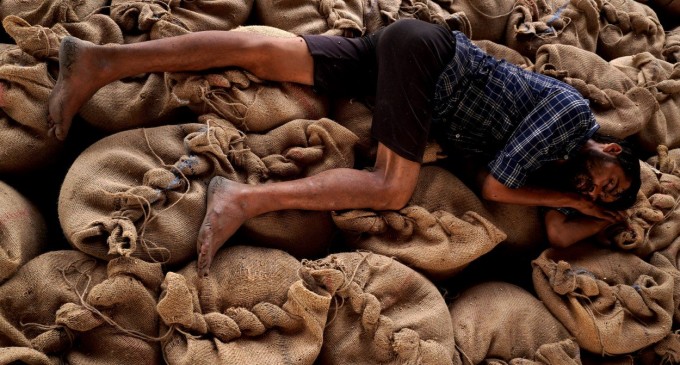 Ucraina a pierdut „un sfert din terenul său arabil” (Ministerul Agriculturii)
