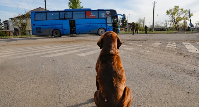 Aproape 2 milioane de persoane au fost duse din Ucraina în Rusia, potrivit datelor prezentate de Moscova. Peste 300.000 sunt copii