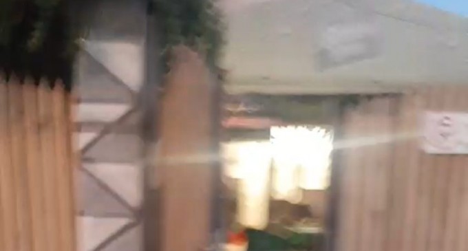 Video/Cine sunt interlopii care fac legea în Ploiesti? IPJ Prahova mai exista?