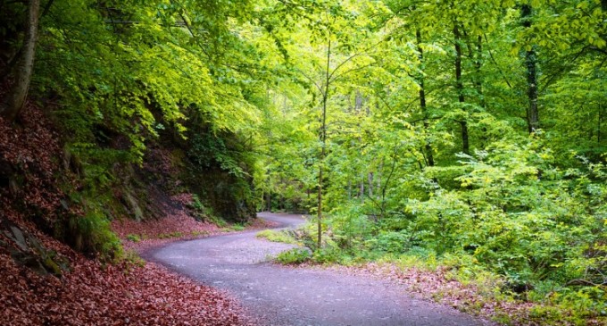 Parcul Național Cozia, una dintre minunile României