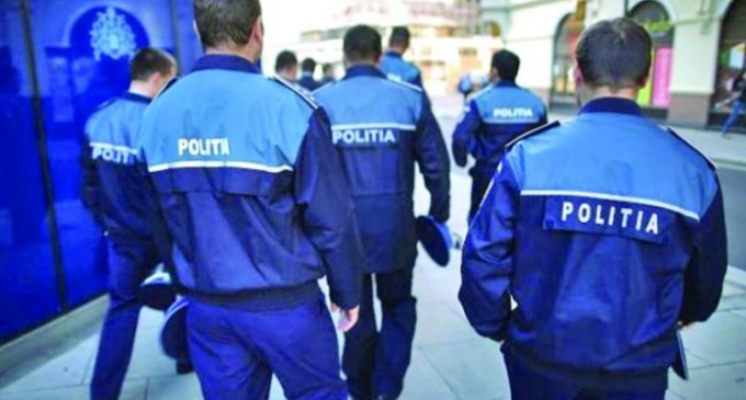 MUSCA LA ARAT PE TARLAUA M.A.I.