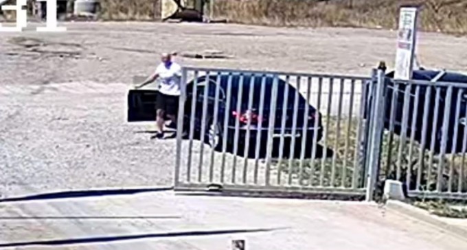 Legaturi periculoase: Primarul Andrei Volosevici, bugetul local, BLUE PLANET SERVICES S.R.L., Solid Waste Operation SRL, Bogdan Niculescu, IPJ Prahova si crima organizata (II)