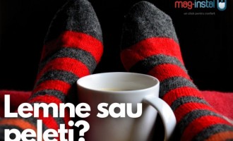 Centrală termică pe lemn sau peleți? Tu ce alegi?