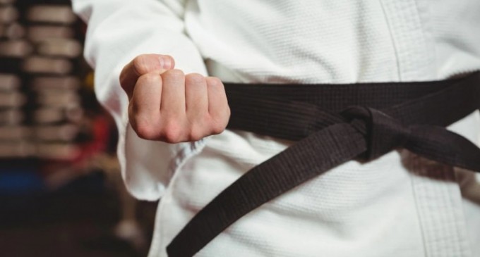 Ce este KEMPO: totul despre această artă marțială