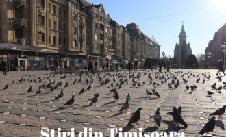 Stirile din Timisoara, azi online