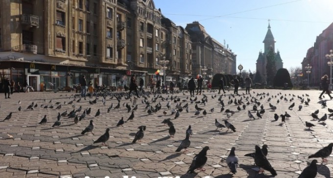 Stirile din Timisoara, azi online