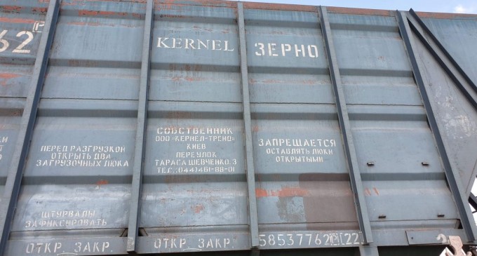 Zelenski anunţă că România se numără printre ţările care sprijină iniţiativa „Cereale din Ucraina”