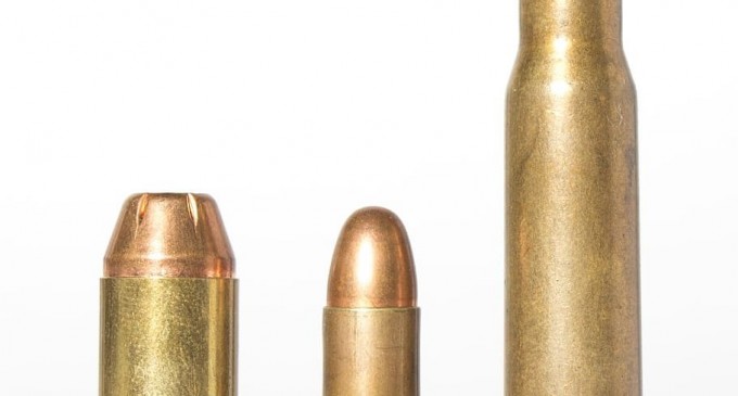 În concepția ANP, cartușul este element de îmbunătățire a condițiilor de muncă