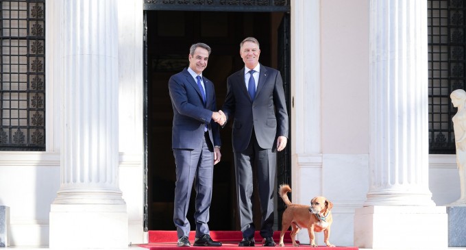 „Peanut”, câinele prim-ministrului grec Kyriakos Mitsotakis, apare în fotografia oficială a preşedintelui Klaus Iohannis cu oficialul elen