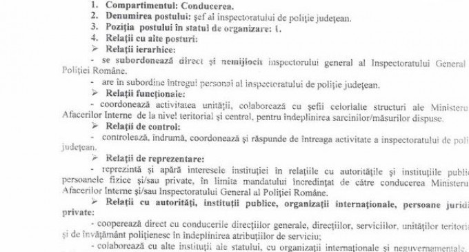 Merge inginer de orice fel, teatru, pictor, popa, orice!