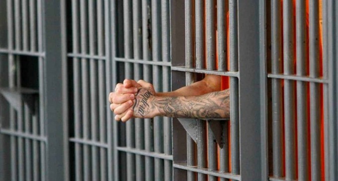 Discutie: „studentul” – samsar, doi „profesori” si „rectorul” PENITENCIARELOR