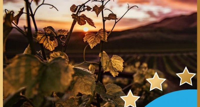 Drăgășani – raiul vâlcean al degustătorilor de vin