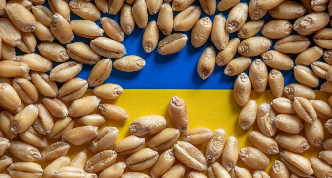 Grecia propune un nou coridor alternativ pentru exportul cerealelor ucrainene, care ar trece prin România
