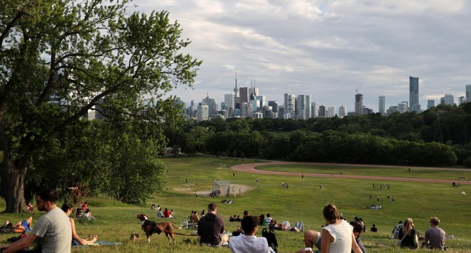 VIDEO Un cățel candidat la Primăria Toronto? Povestea din spatele alegerilor locale din orașul canadian